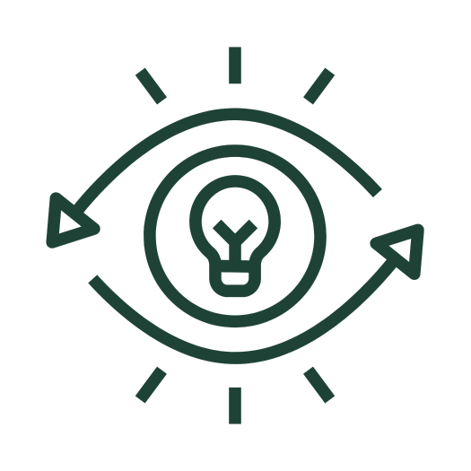 Vision Icon